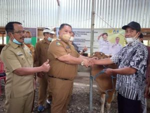Wabup Salurkan Bantuan Sapi ke Warga Desa Gunung Kayo