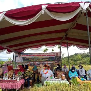 Wabup Rifa’i Berharap Hasil Panen Padi di BS Terus Meningkat