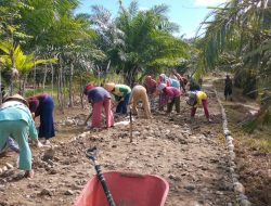 Kades Edi : Peningkatan Jalan Sentral Produksi Desa Padang Panjang Selesai
