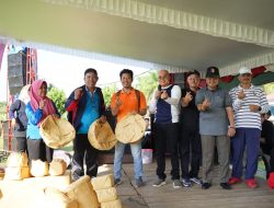 HUT Pino Meriah