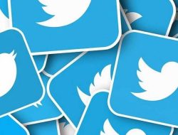 Efektivitas Twitter Sebagai Media Informasi