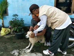 Bengkulu Selatan Kekurangan Dokter Hewan