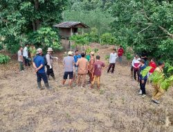 Harimau Berkeliaran, Warga Dihimbau Waspada