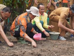 Bupati Gusnan Sebut BS Sentra Produksi Bawang Merah