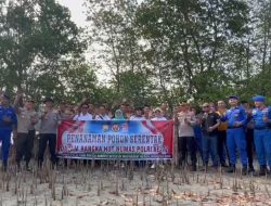 SMSI Apresiasi Penanaman 1.668 Pohon Mangrove Oleh Bidhumas Polda Bengkulu
