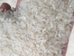 Jonaidi Sarankan Pemerintah Provinsi Bengkulu Anggarkan RMU Untuk Petani Lokal