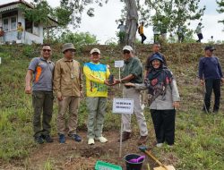Tingkat Kerusakan Hutan Bengkulu Tinggi, Gubernur Rohidin Ajak Masyarakat Lakukan Rehabilitasi
