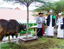 Pemprov Bengkulu Salurkan 10 Ekor Sapi Kepada Masyarakat
