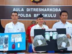 Ditresnarkoba Polda Bengkulu Tangkap Seorang Pengedar Narkoba