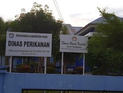 Dinas Kelautan Bakal Luncurkan Program Jaga Ekosistem Laut