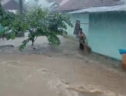 Gorong-gorong Terlalu Kecil, Rumah Warga Desa Padang Panjang Terendam Banjir