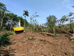 Pemerintah Desa Tanjung Bunga Bangun Badan Jalan Sentra Produksi Pertanian