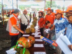 Festival Durian II PUT: Pertarungan 71 Varietas Unggul