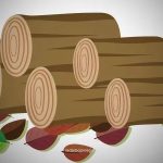 Diduga Ambil Kayu Warga Tanpa Izin, Kades di Bermani Ulu Raya Dikecam