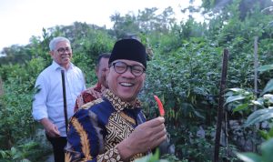 Mendes: Program Desa Berketahanan Pangan dan Iklim