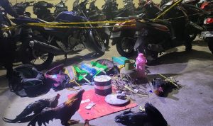 Polsek Bermani Ulu Sita 21 Motor dan 6 Ayam dalam Penggerebekan Judi Sabung Ayam