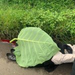 Ditemukan Luka dan Pendarahan, Seorang Wanita di Curup Timur Meninggal di Lokasi