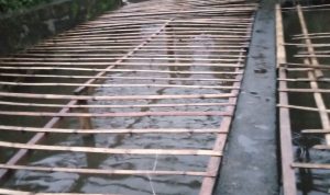 Pengadaan Bibit Ikan Bumdes Turan Baru Dinilai Menyimpang dari Prosedur Resmi