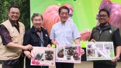 Indonesia–Jepang Jalin Kemitraan Baru Pelestarian Orangutan