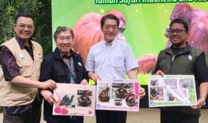 Indonesia–Jepang Jalin Kemitraan Baru Pelestarian Orangutan