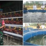 Budidaya Ikan Bioflok dan Ayam Petelur Jadi Gebrakan Babinsa Kampung Baru