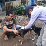 Kasus GHPR Tertinggi di Tanjung Kemuning, Ini Langkah Dinkes Kaur