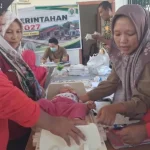 Dinas Kesehatan Kaur Prioritaskan Penanganan Angka Kematian Ibu dan Bayi
